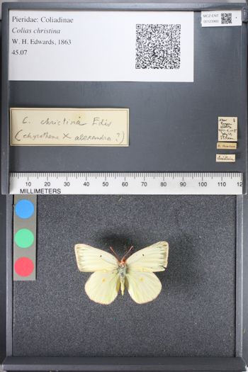 Media type: image;   Entomology 123980